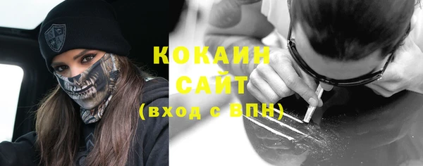 тгк Алексин