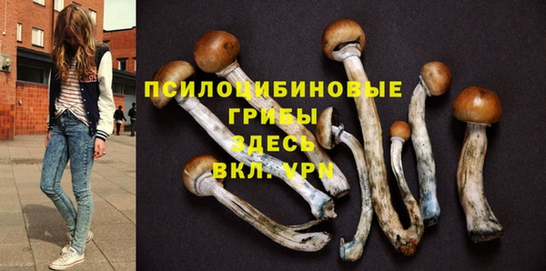 тгк Алексин