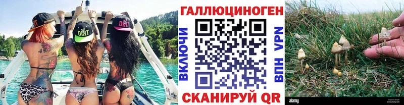 купить   блэк спрут зеркало  Галлюциногенные грибы Cubensis  Сатка 