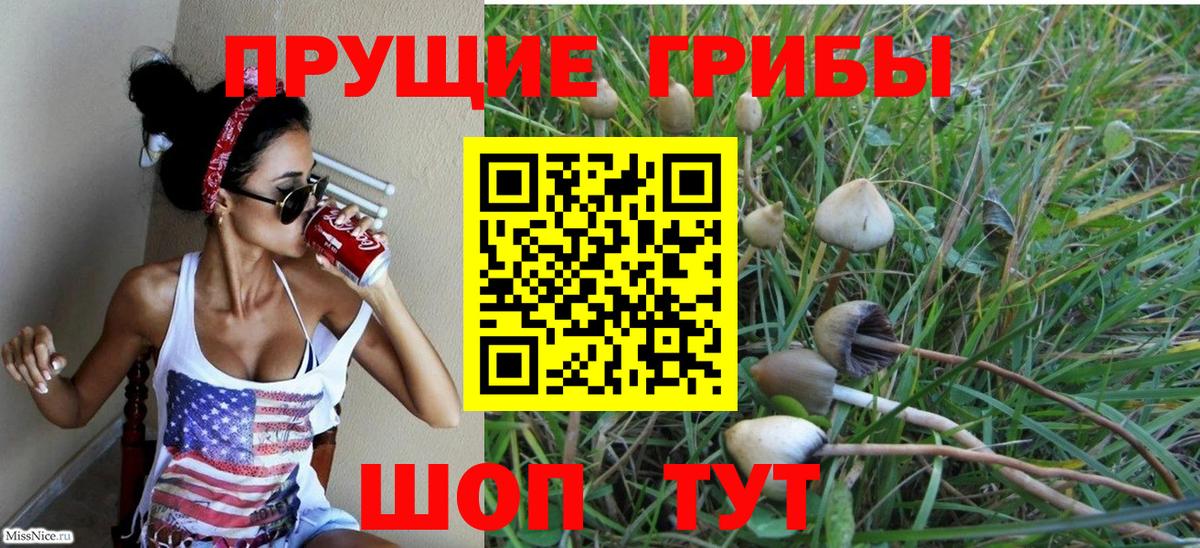 Псилоцибиновые грибы Psilocybine cubensis  Псилоцибиновые грибы мицелий  Сатка  Вход с VPN 